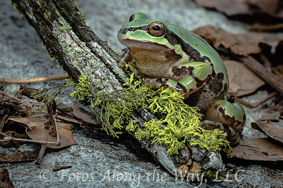 Photo by Michael K. McDermott