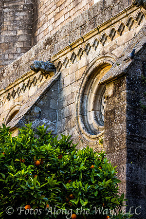 Cathedral Courtyard with Orange Tree & Gargoyle (Portugal)