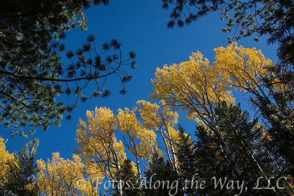 Photo by Michael K. McDermott