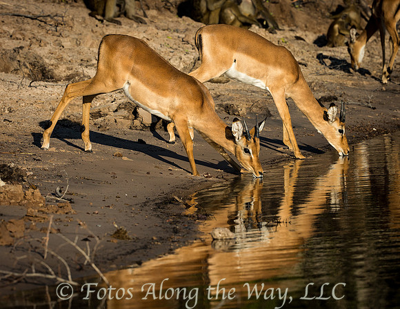 Photo by Michael K. McDermott