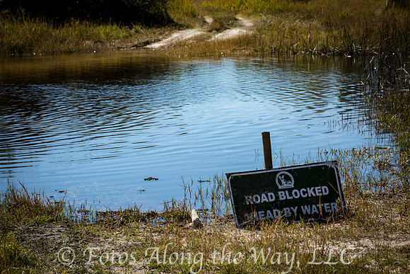 Road Meets Pond (Botswana)