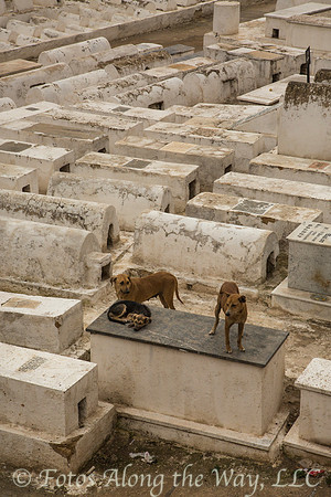 Jewish Mellah Cemetery (Morocco)