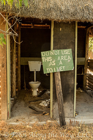 To Go or Not to Go? (Botswana)