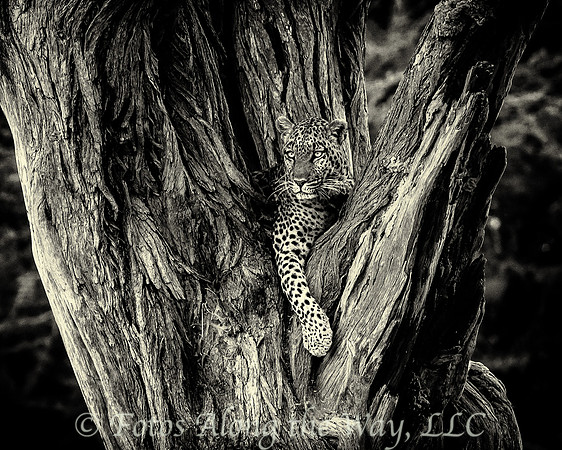 Photo by Michael K. McDermott