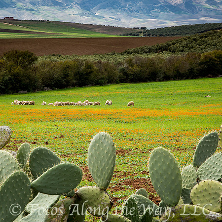 Middle Atlas Countryside (Morocco)