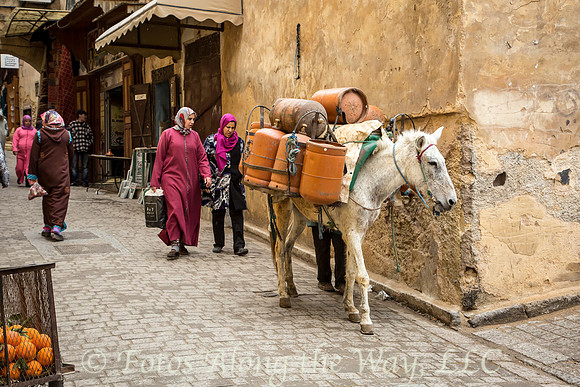Fez Street Scene (Morocco)