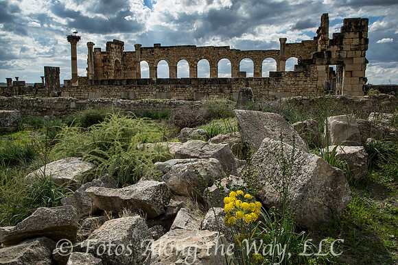 Volubilis Roman Ruins (Morocco)