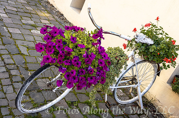 White Bike Flower Holder