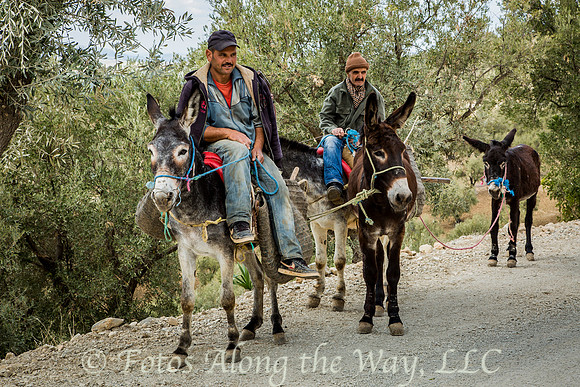 Farmers on the Road (Morocco)