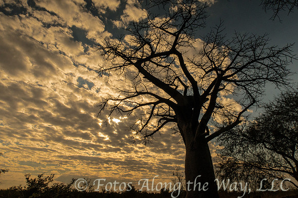 Photo by Michael K. McDermott