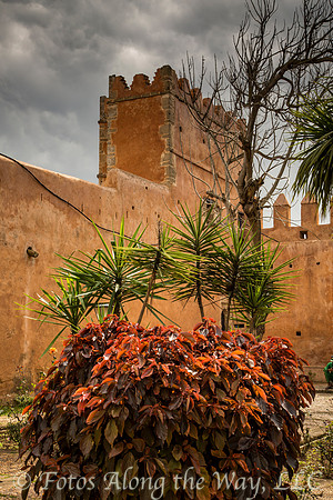 Kasbah Wall and Garden (Morocco)