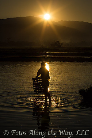 Day's End in the Rice Fields (Myanmar)