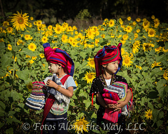Young Scarf Salesmen in Sunflower Field (Myanmar)