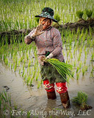 Rice Planter Greeting (Myanmar)