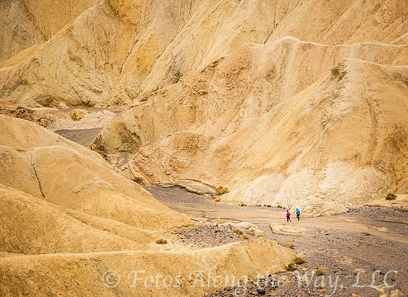 Hiking into a Golden Gulch (California)