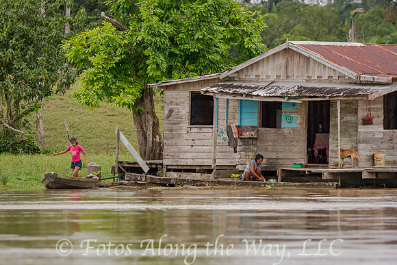 Life in the Amazon Basin #1 (Amazonia, Brazil)