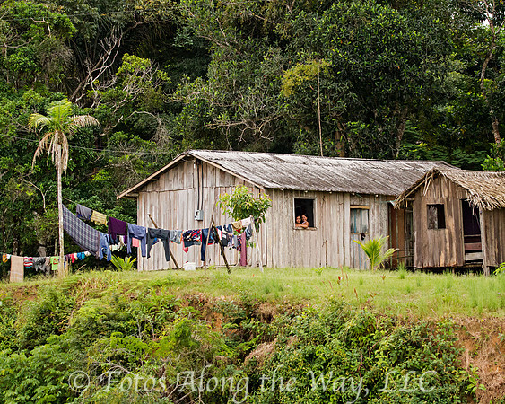 Life in the Amazon Basin (Amazonia, Brazil)