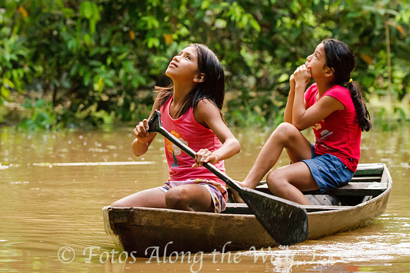 Monkey Spotters (Amazonia, Brazil)