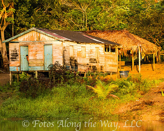 Life in the Amazon Basin (Amazonia, Brazil)