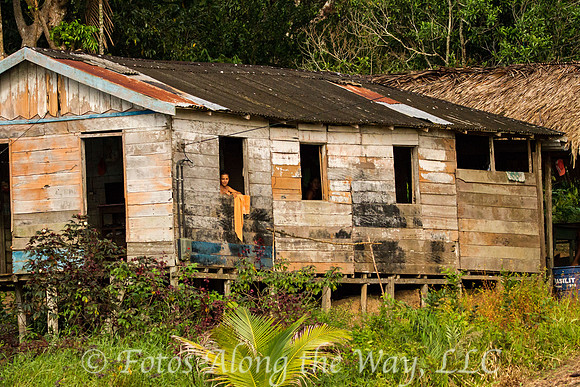 Life in the Amazon Basin (Amazonia, Brazil)