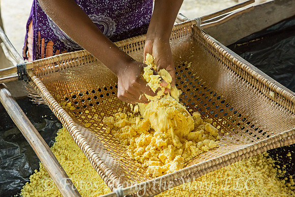 Processing Manioc (Amazonia, Brazil)