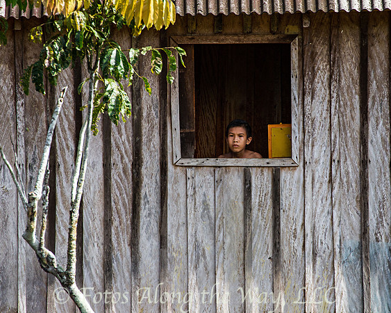 Riverside Gaze (Amazonia, Brazil)