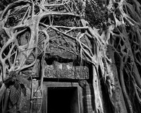 Tree Roots over Temple Doorway (Cambodia)