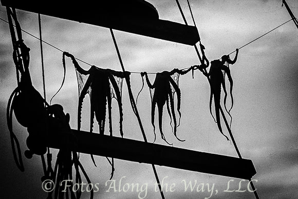 Octopus Drying (Greece)