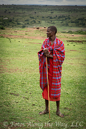 Maasai Herder (Kenya)