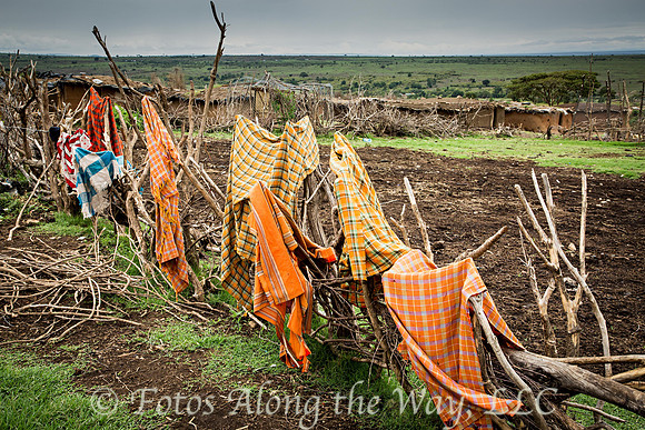 Maasai Village Drying Fence (Kenya)
