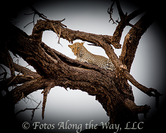 Photo by Michael K. McDermott
