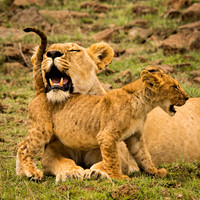 Maternal Moments