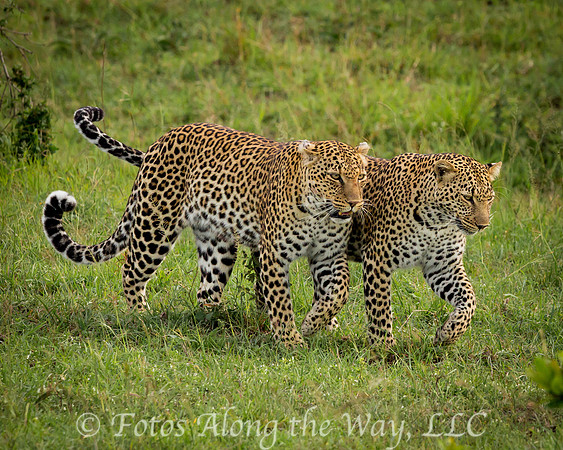 Photo by Michael K. McDermott