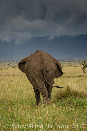 Photo by Michael K. McDermott
