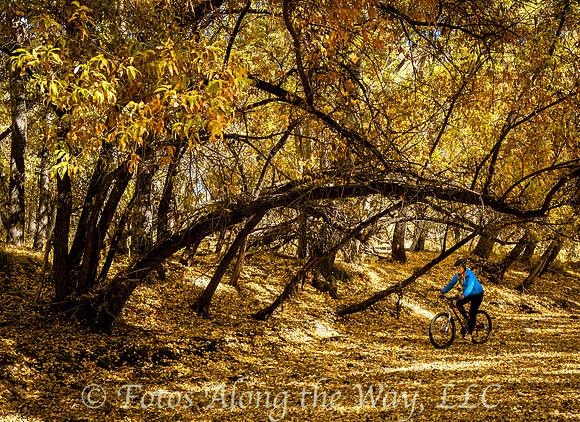 OCTOBER: Brisk Autumn Ride near Granite Creek