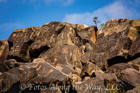 Signal Hill Petroglyphs (Arizona)