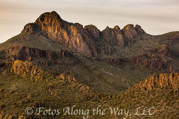 Saguaro NP from the Air (Arizona)