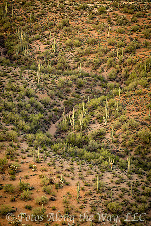 Sonoran Resaca (Arizona)