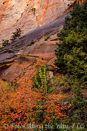 Zion NP - Hidden Canyon Trail (Utah)