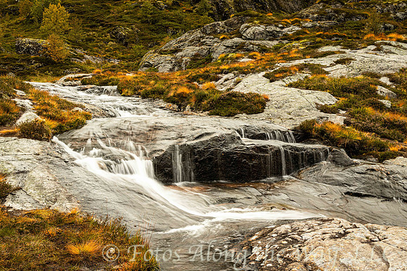 Flowing Creek in Autumn (Norway)