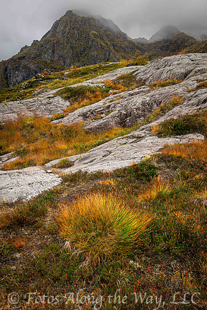 Colorful Autumn on Rocky Hillside (Norway)