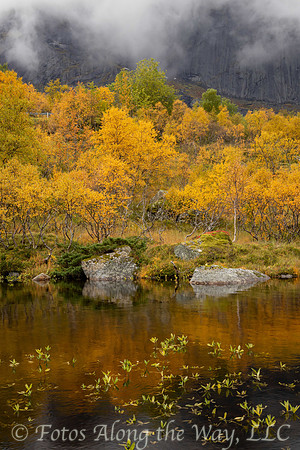 Fall Reflection (Norway)