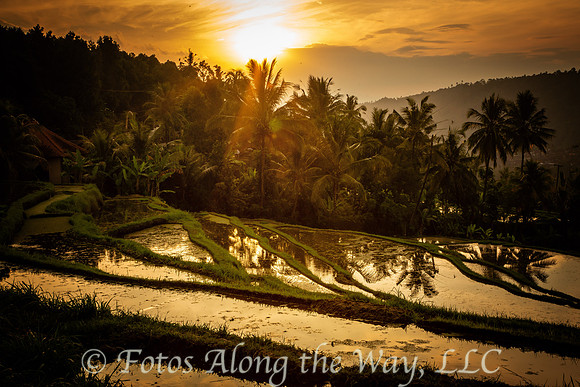 Terraces at Sunset (Bali, Indonesia)