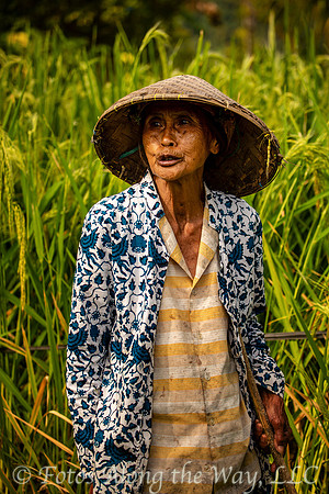 Tending the Rice Fields (Bali, Indonesia)