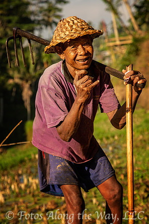 Rice Field Worker (Bali, Indonesia)