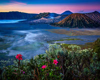 Favorite Color Landscapes