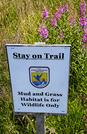 Stay on Trail Sign