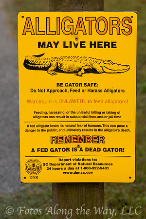 Alligators May Live Here (South Carolina)