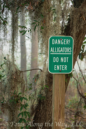 Alligator Warning Sign (South Carolina)