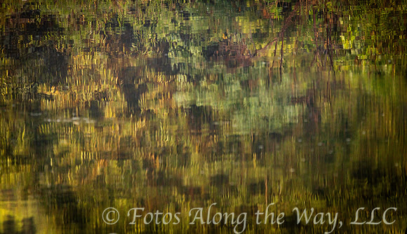Autumn Reflection on Lowcountry Lake (South Carolina)